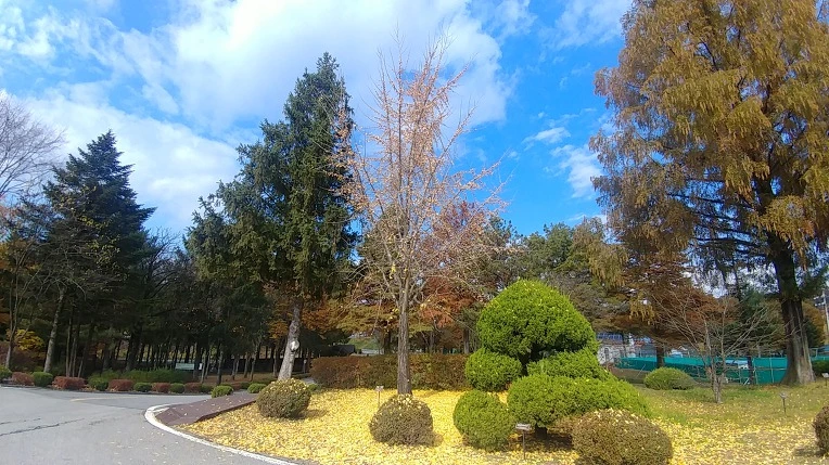 995936405BD6AD32019855