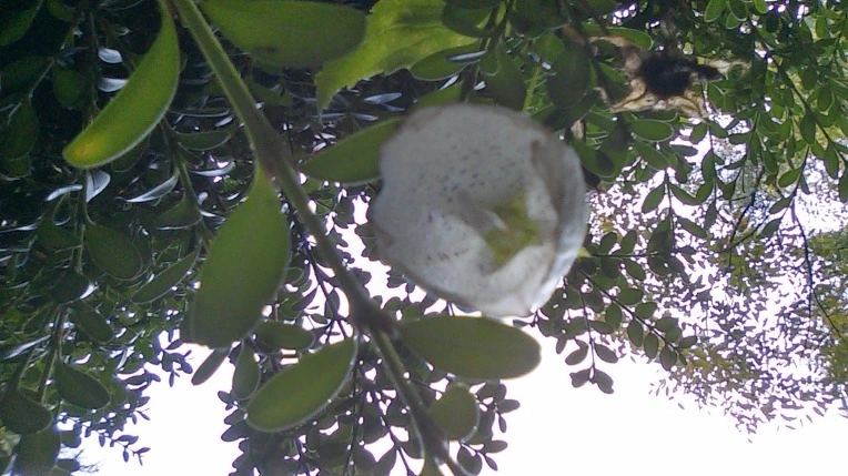 2245C73B5619797B047531