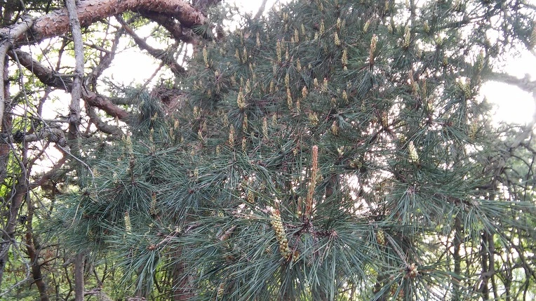 22187547572697000CA3AC