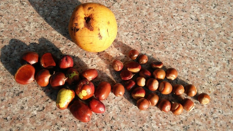 260AD23657E46846030910