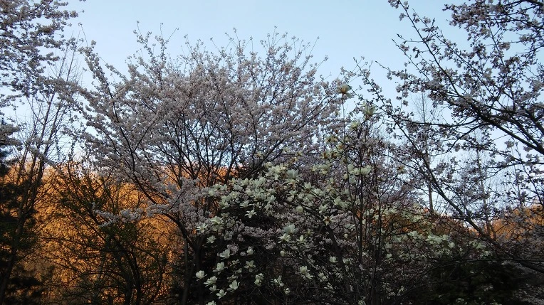 27569B50570366971CF76A