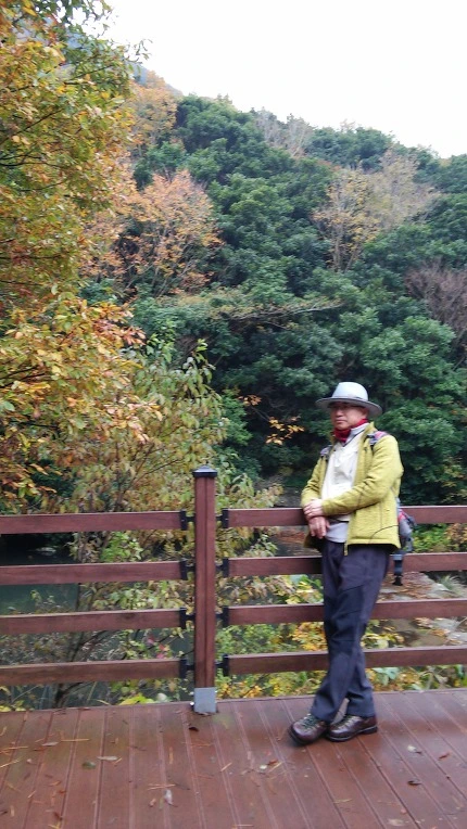 246DA439564008F832FA0E