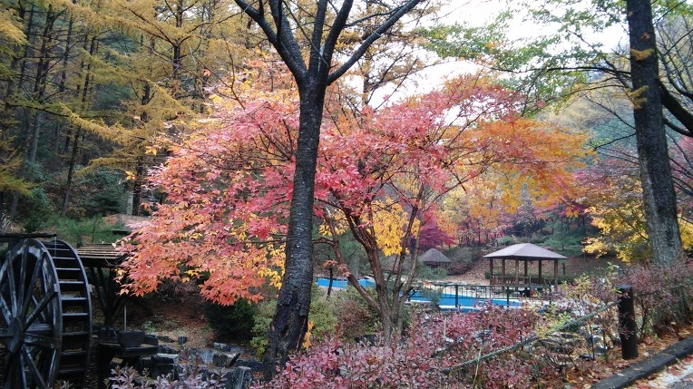 232CB237563D848713C526