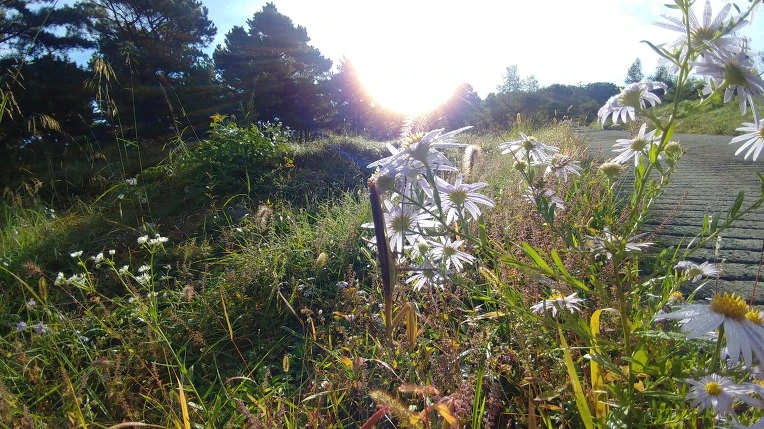 9979D6405BBAFC9A25B0BD