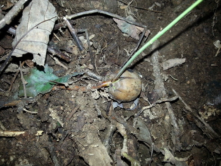 2370C54B543286E0163C8B