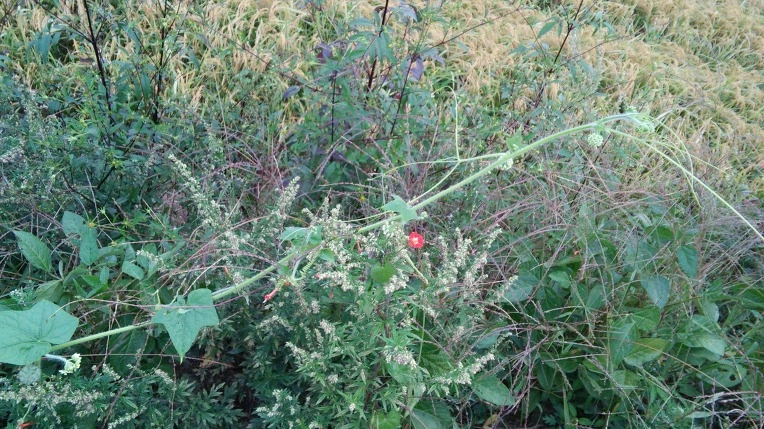 22626E4957E701E2211FA1