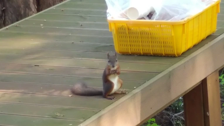 998D09495B4D8E63331022