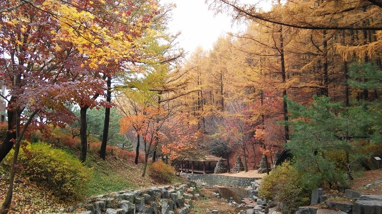 2651BF34568CF7ED0E3718