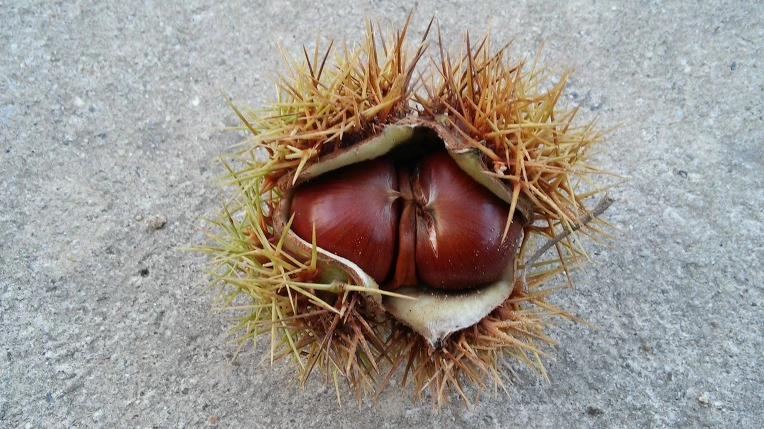 9991A83359CB180432EE50