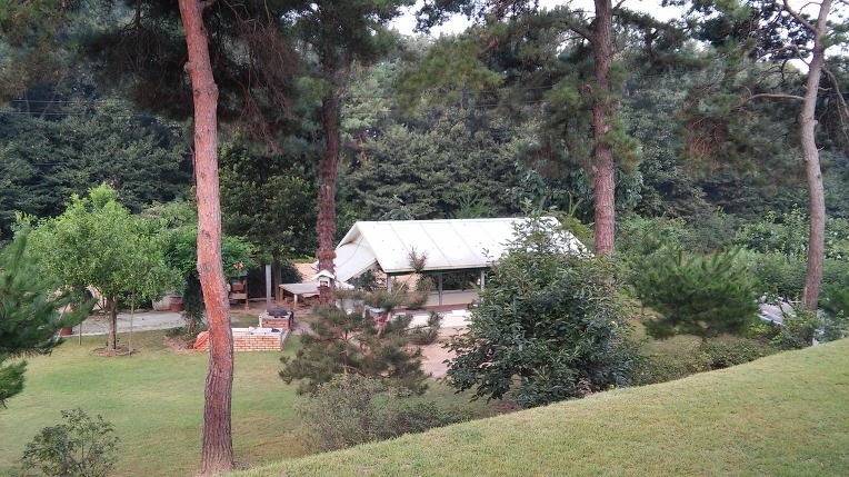 2438333F57BB98C20A2B45