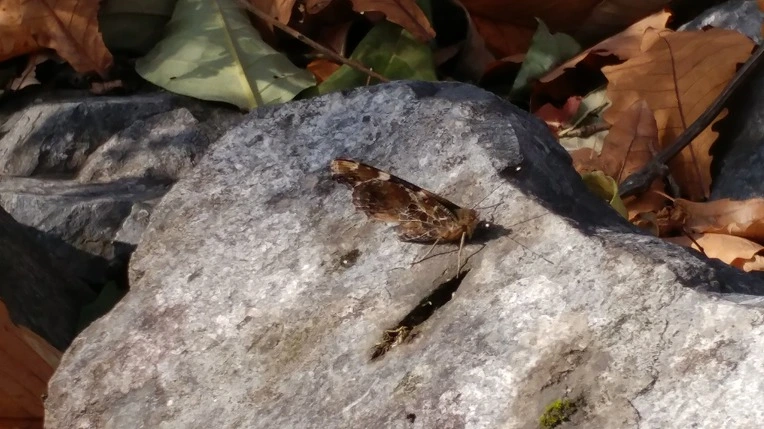 993CB8365BD6ADB8202291