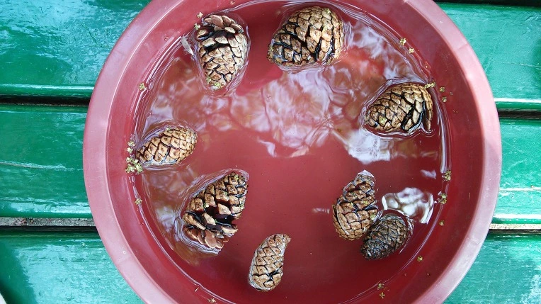 237BCB4056528546368439