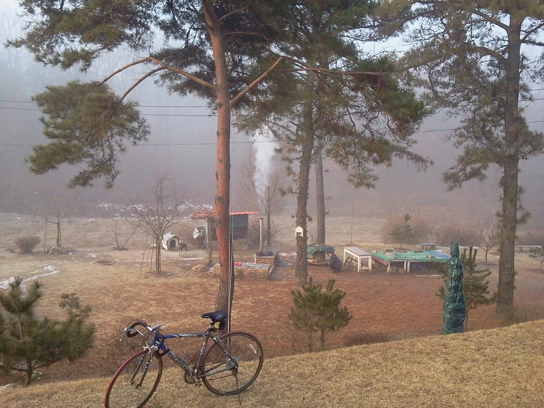 25050348586E0EA616CDCD