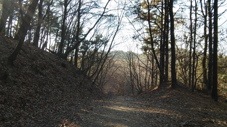 2472AB505853B829284C87