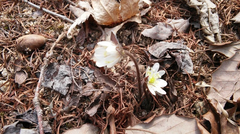 2636924156F4DC88095BF3