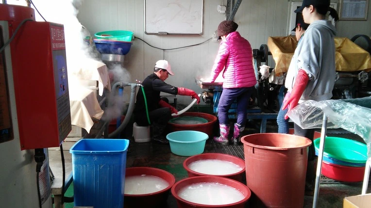 233736345883190304DD55