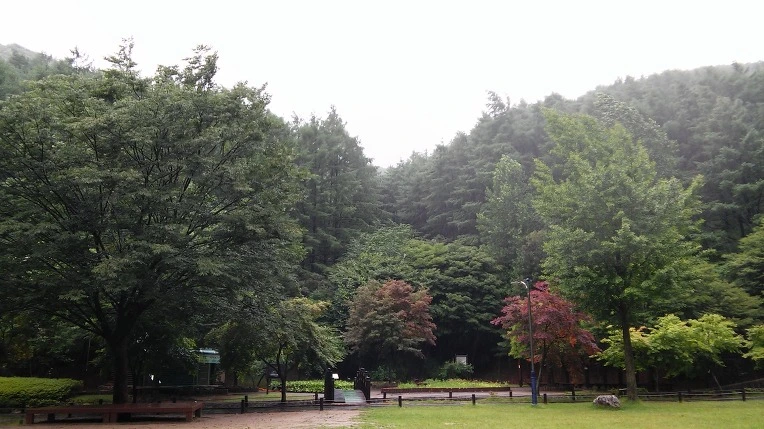 2637613E558C8DAE379686