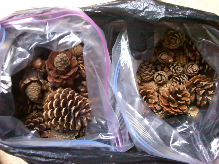 17462A534D3D385119E4DF