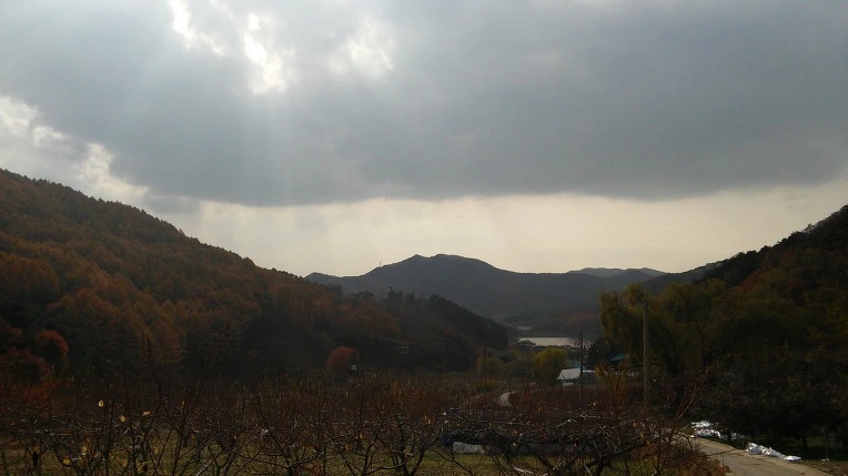 2614F3355643157503AED1