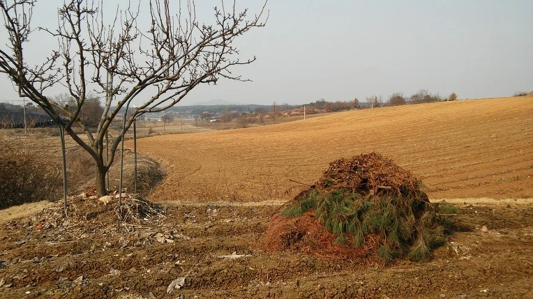 221F504758BBE7D21BCD8C