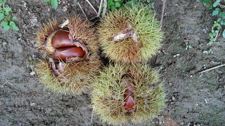 253DBD4E57DE022631BB0C