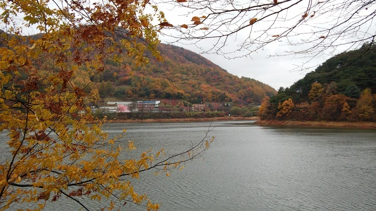 2548673A563D8444232F44