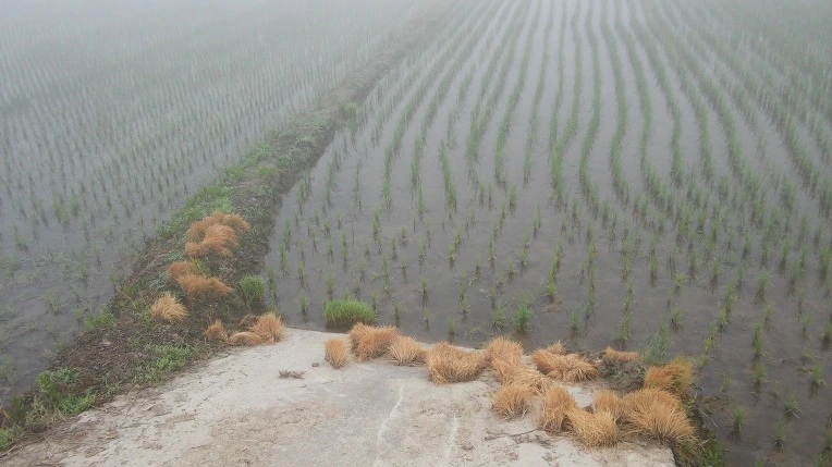 251789335747BA210C5493