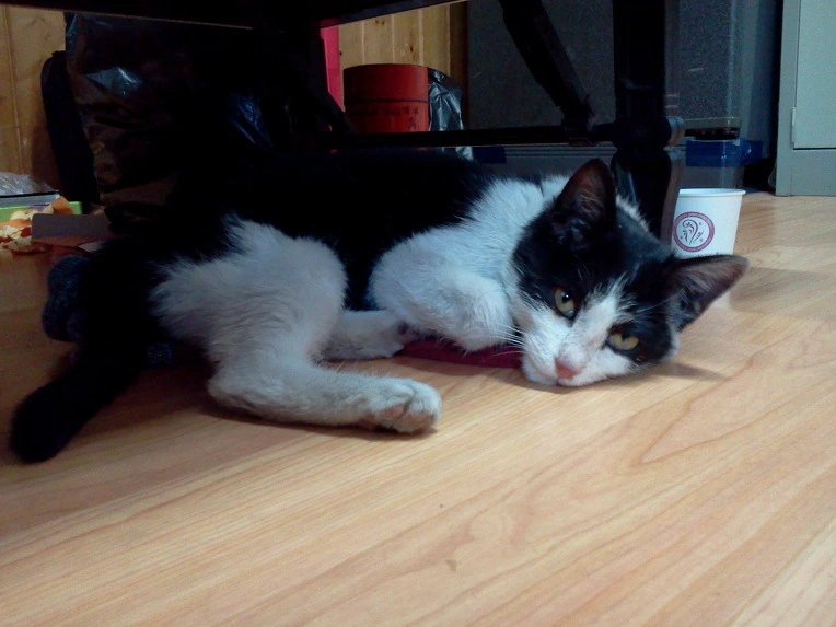 211AF2475142A5460810D8