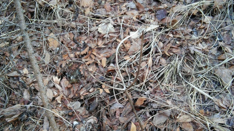 21178C375672112C0C16A7