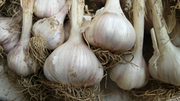 21055C415768A7C310C5F4