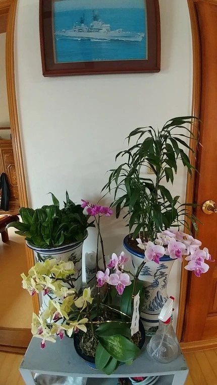 99ACCF4C5ACD32A616952C