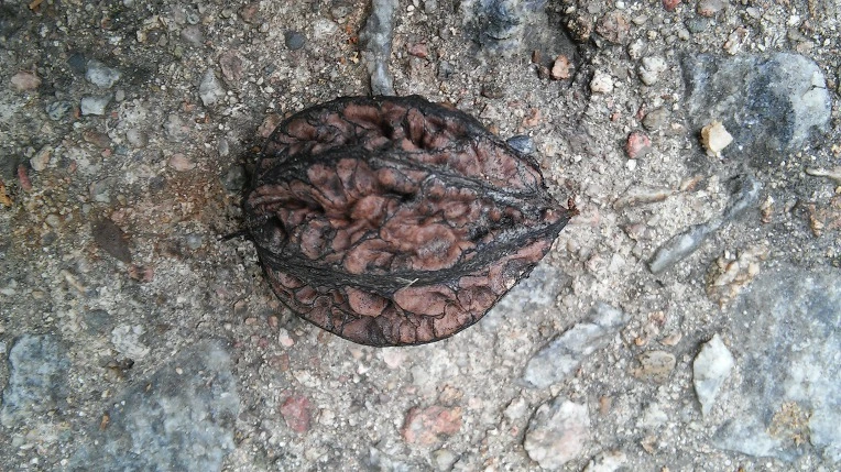 99F8743B5EBE1EEA26AB4E