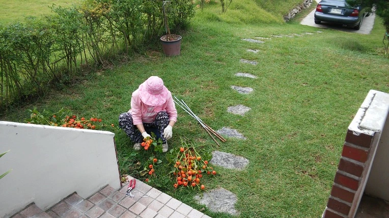 235E224757E767A81A8E8E