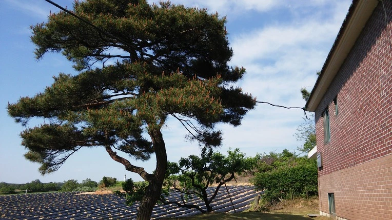 2677243B573A5AAD01563C