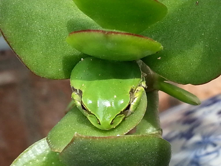 26657C4B56B024EE2918DD