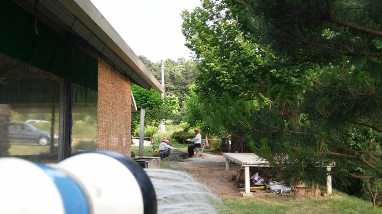 26770C3957649C182DBE29