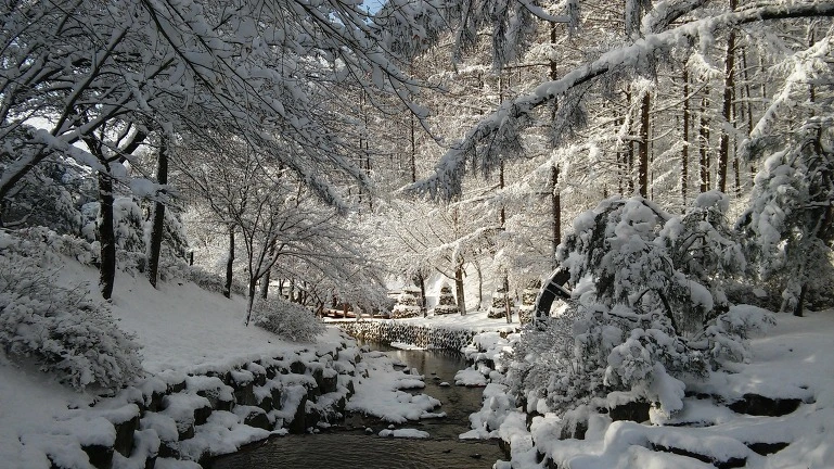 2655A53956827C0403C114