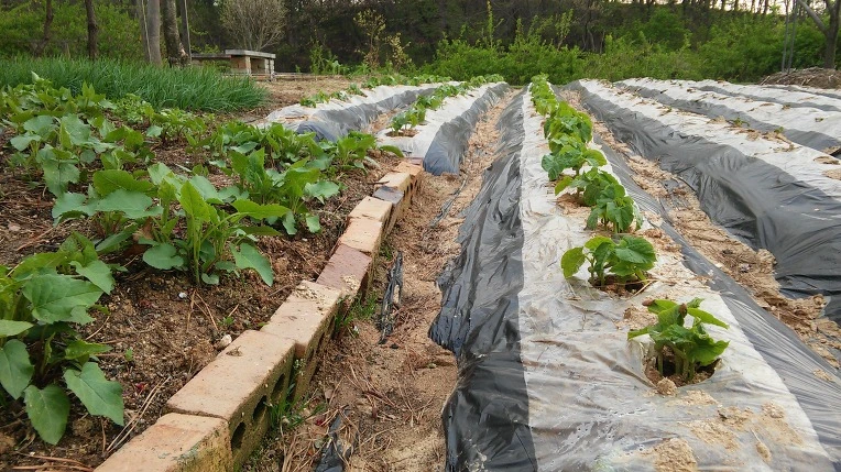 2552E9435714A16A1814DE