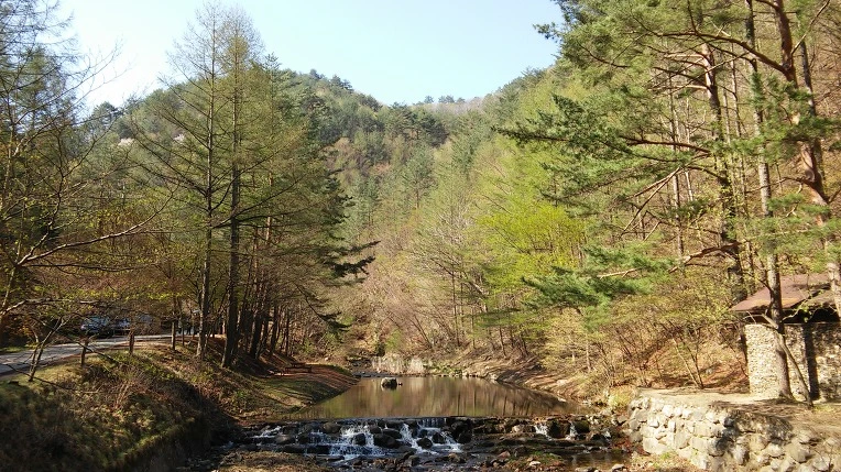 2431B53758FBF7D805BB55