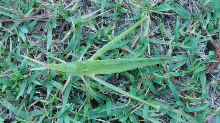 998919385B6F798D05331B