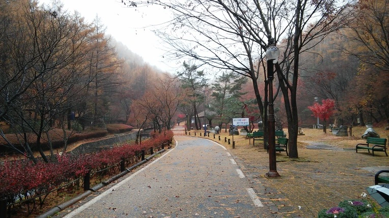 2131DA3D57AE9338148DEC