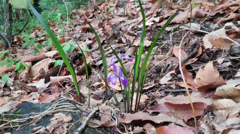 23392F4F571AD0BC111195