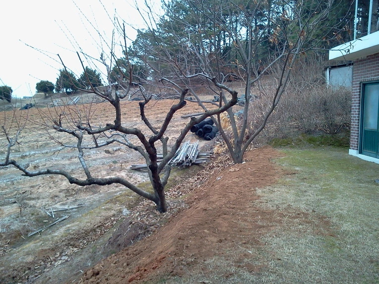 0121B03A51578B4E20FA1D