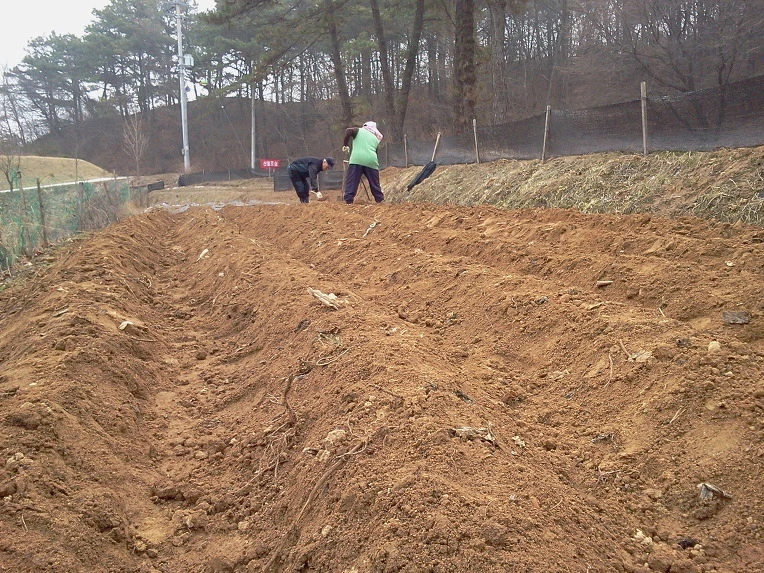 141A864C4F726B1217B6B3