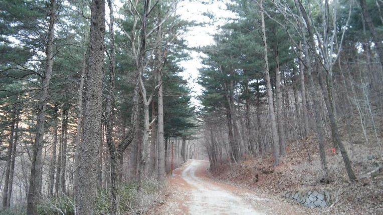 2441303956F87141359950