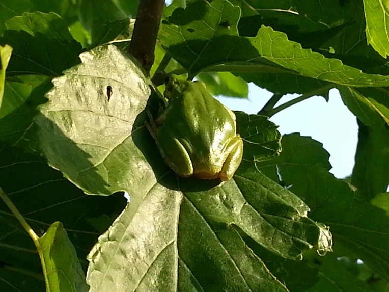 27614F4E56B0268532BF33