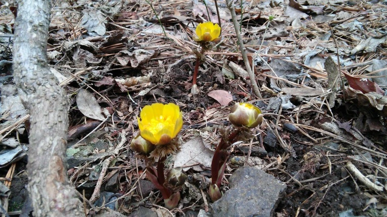 25448D4456D1085224A118