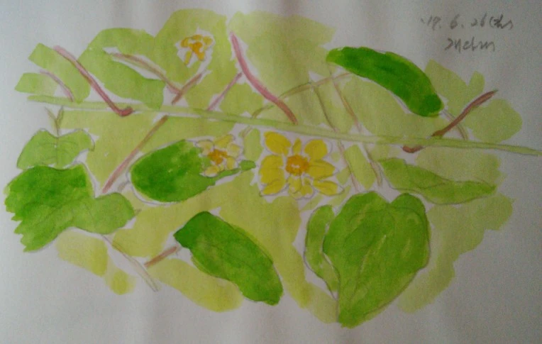 225EB441595DCB7106A83F