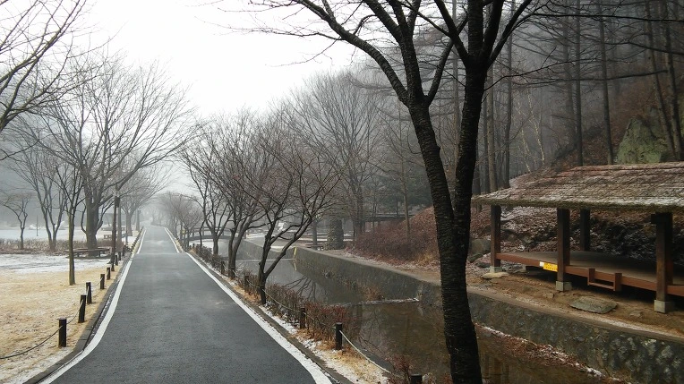 217EFE45550282562602A6