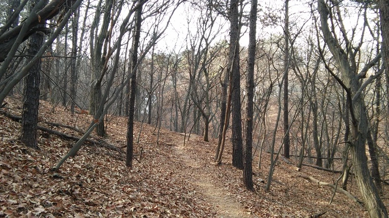 2608FD45585A2F0D2EE055